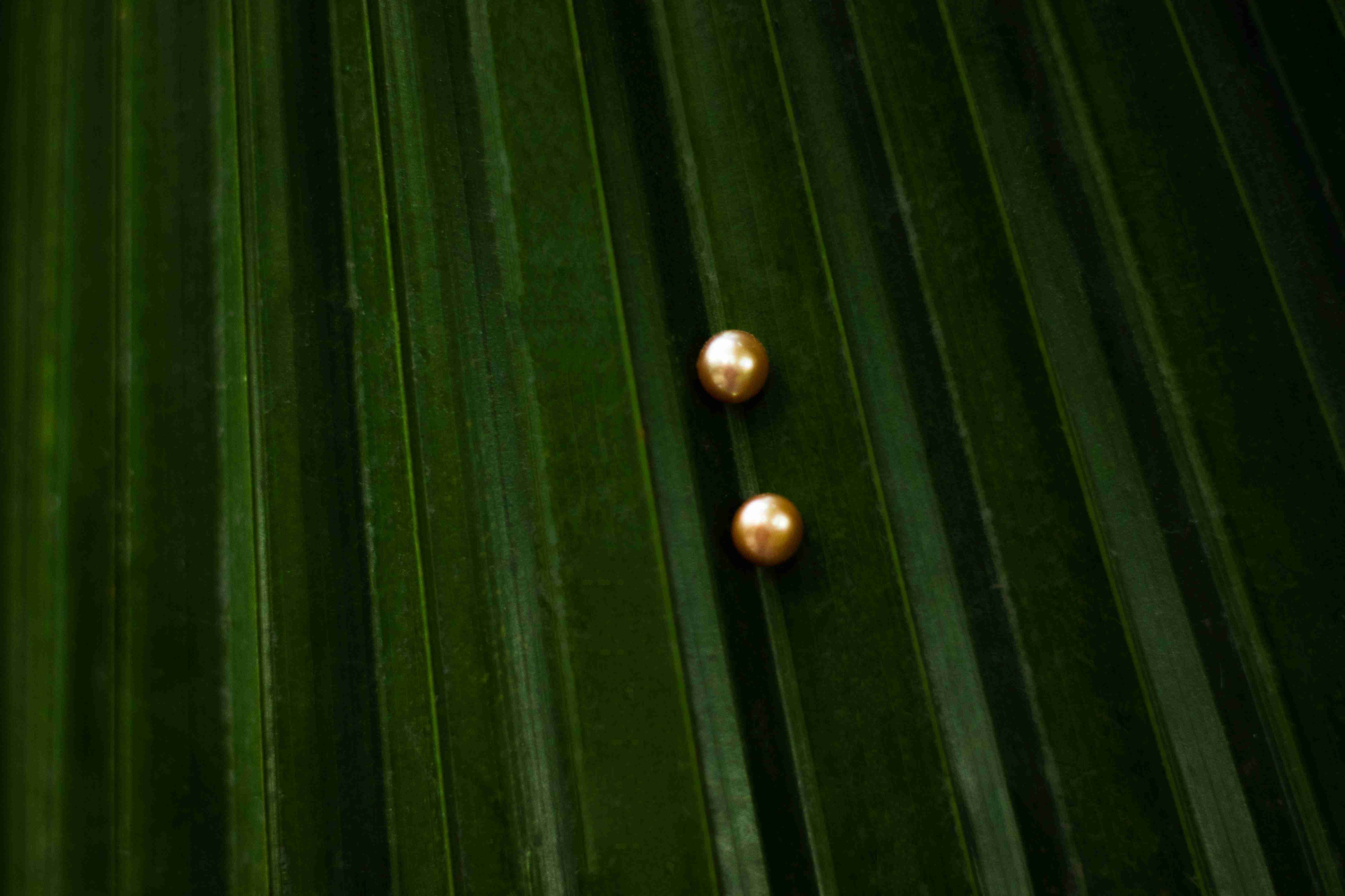 Golden Heritage Studs