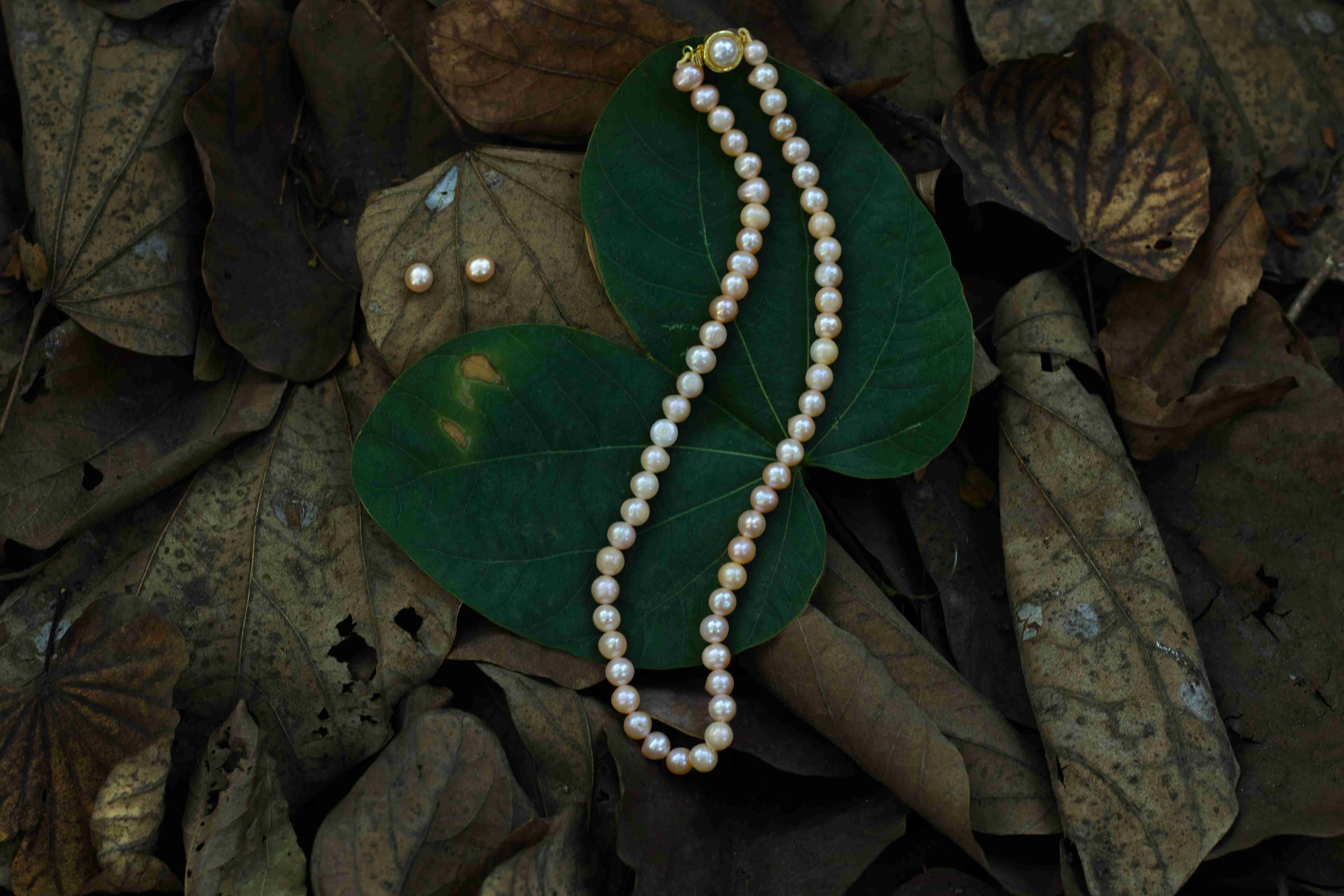 Forest Ivory pearl necklace
