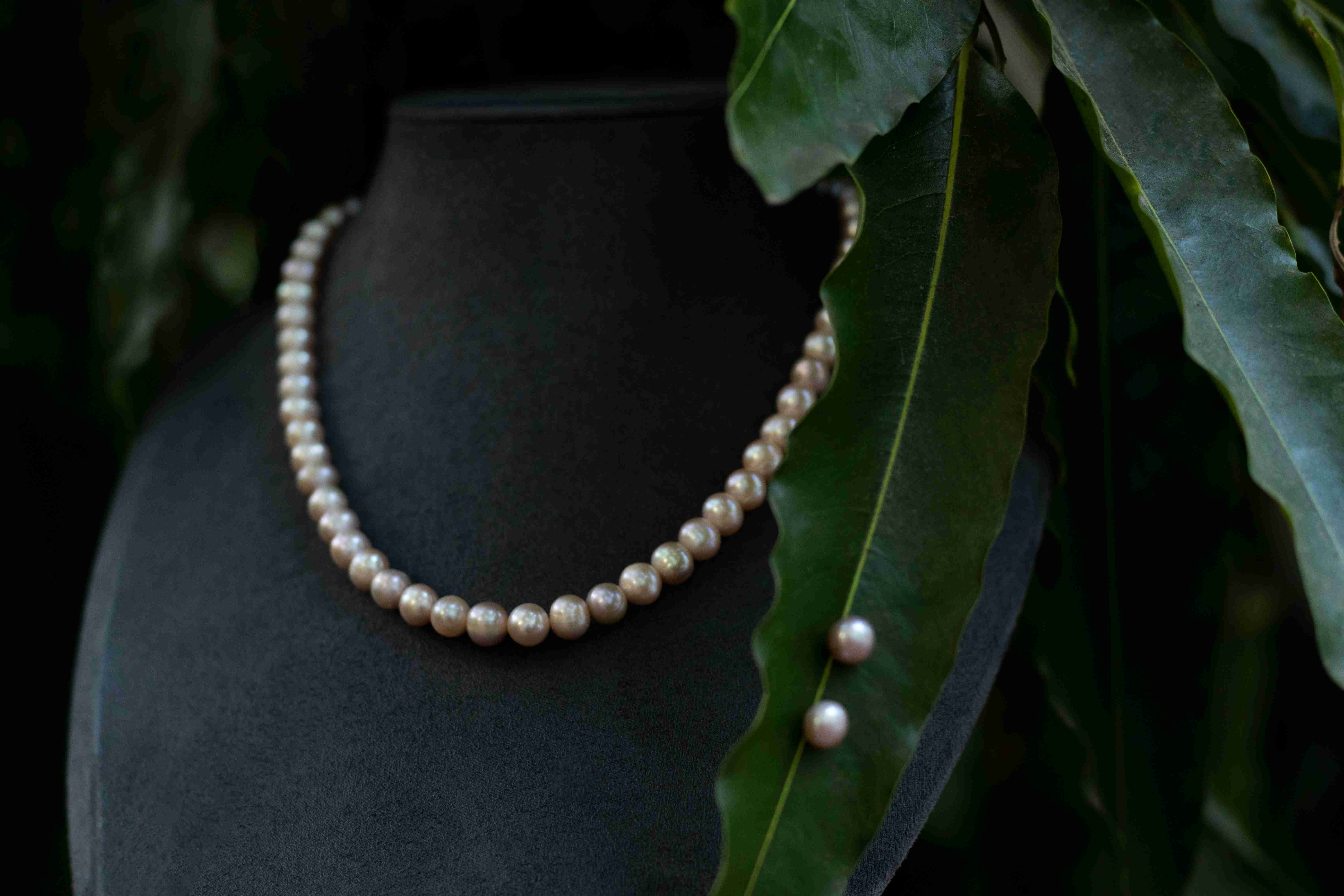 Pearl Harmony pearl necklace